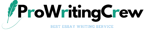 Quality Essay Writer